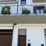 Tortora