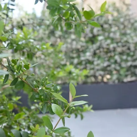 Tortora Bed & Breakfast