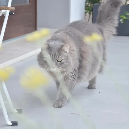 Tortora ベッド・アンド・ブレックファスト 3*