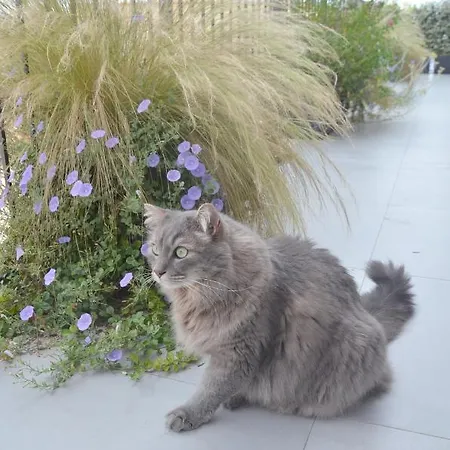 Tortora Bed & Breakfast 3*