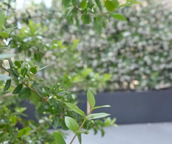 Tortora ベッド・アンド・ブレックファスト