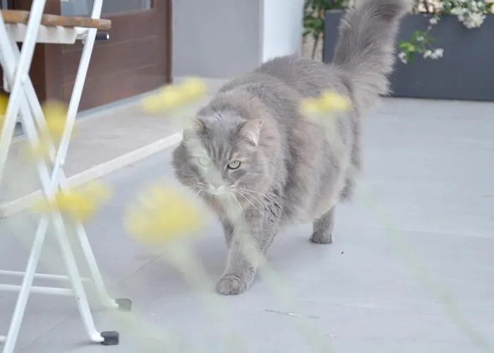 Tortora ベッド・アンド・ブレックファスト 3*